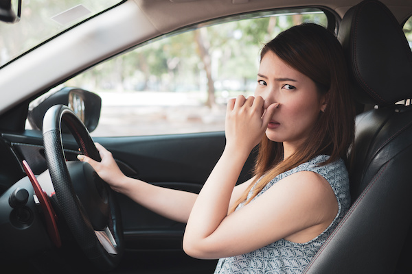 Decoding 8 Car Smells and Their Causes | Ripley's Total Car Care in Houston, TX